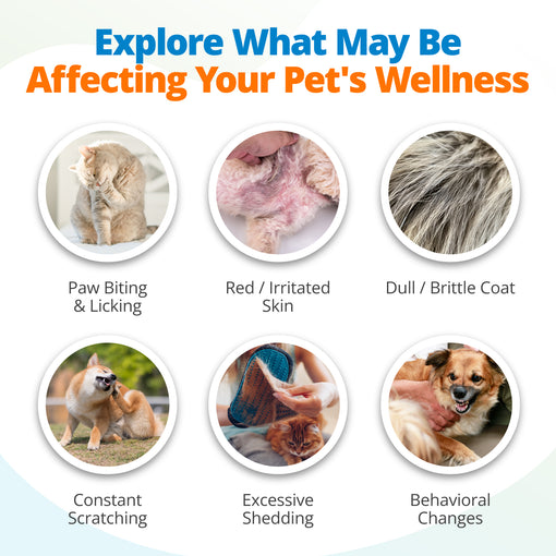Symptoms caused by pet heavy metal sensitivities.