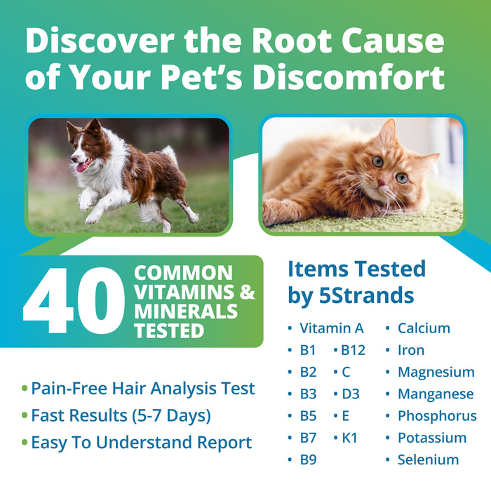 pet nutritional imbalance items