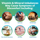 dog and cat nutrition imbalance symptoms