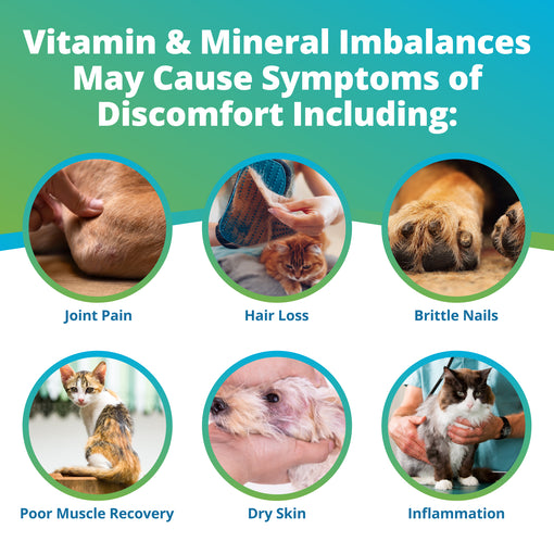 dog and cat nutrition imbalance symptoms