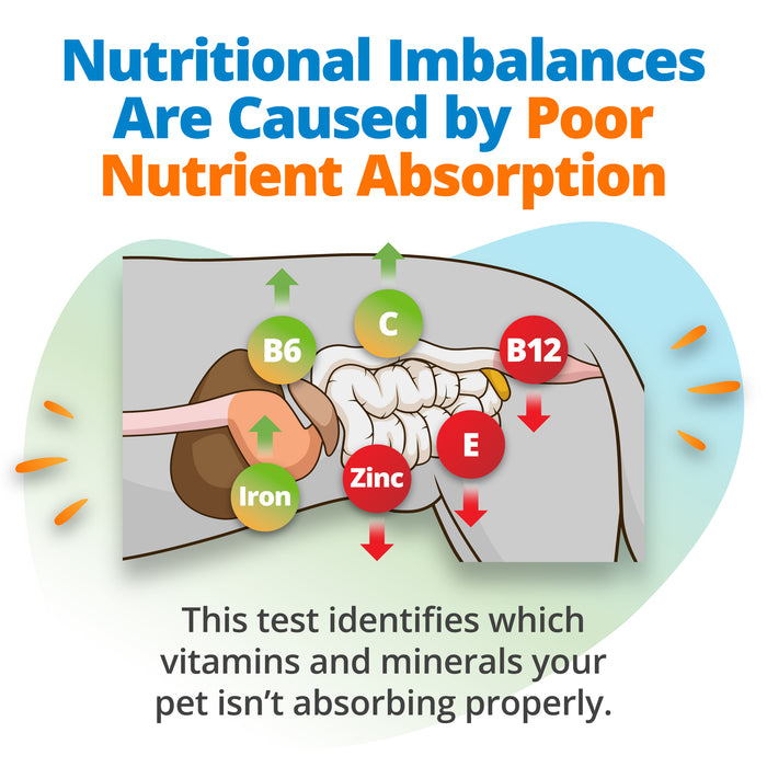 Pet Nutritional Imbalance Test