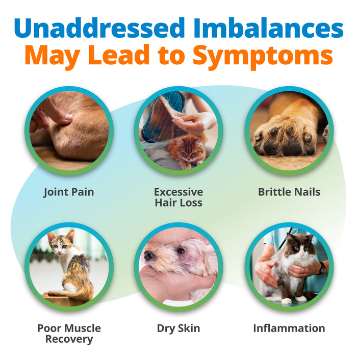 Pet Nutritional Imbalance Test