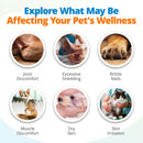 Symptoms of unaddressed nutritional imbalances in dogs and cats