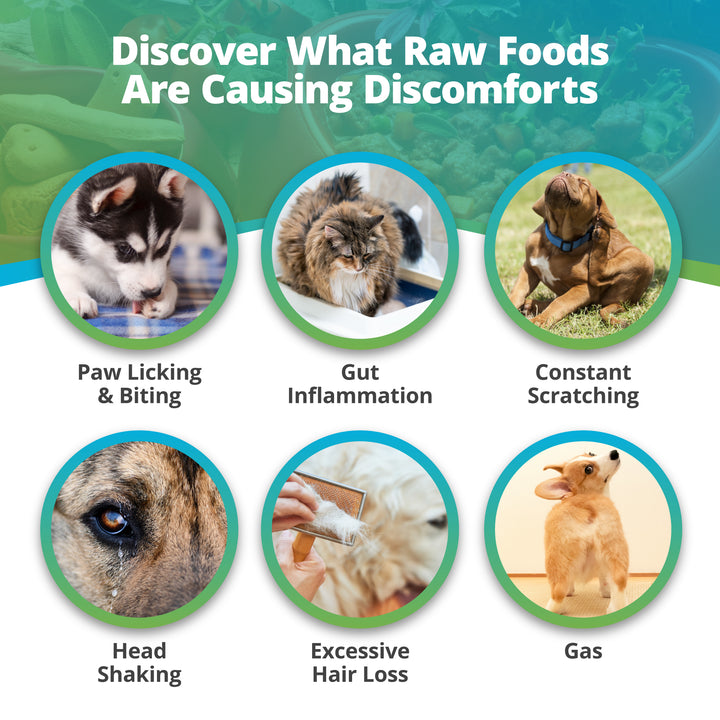 Pet Raw Food Intolerance Test