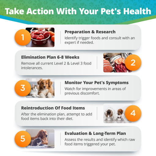 Pet Raw Food Intolerance Test