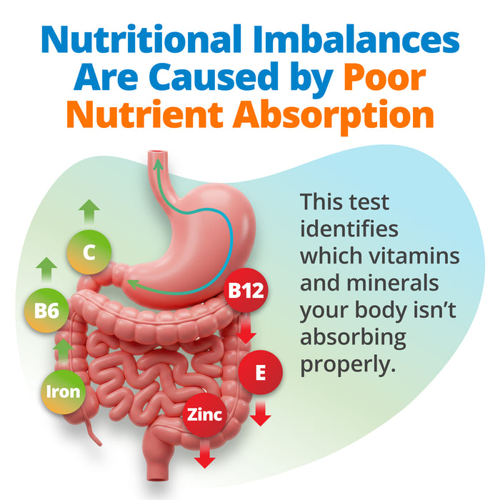 Vitamin & Mineral Imbalance Test
