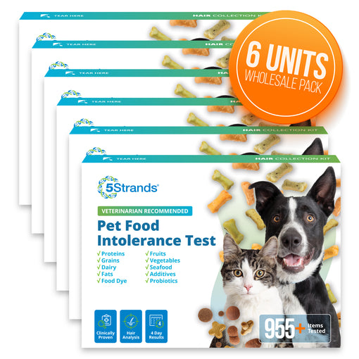 Pet Food Intolerance Test (Wholesale, 6 Pack)