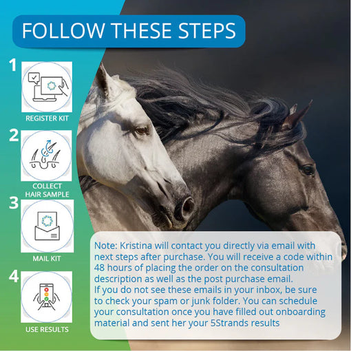 Kristina Star (Horses)