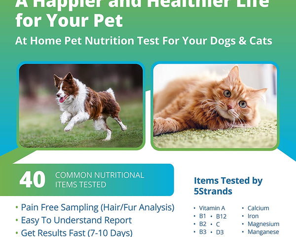Pet Vitamins & Minerals Test Wholesale