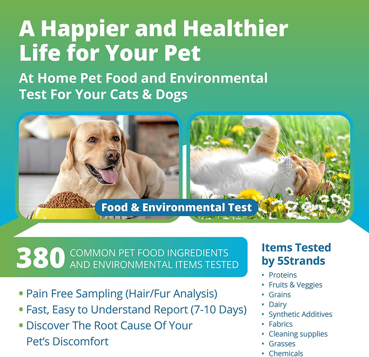 Pet Food & Environmental Intolerance Test Wholesale