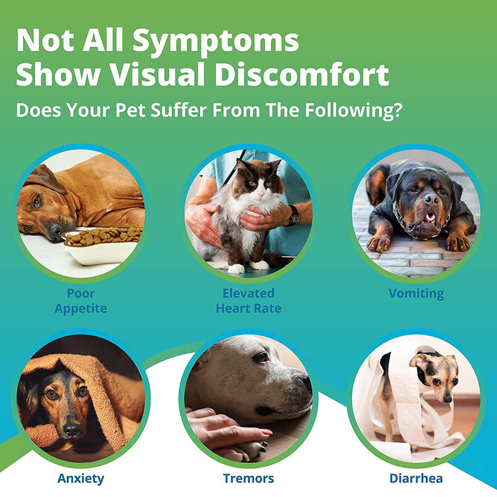 pet metal and mineral imbalance symptoms