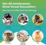 Pet Intolerances & Imbalances Test