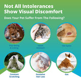 pet environmental intolerance symptoms