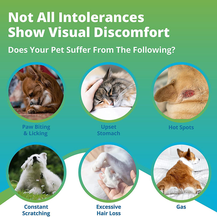 pet environmental intolerance symptoms