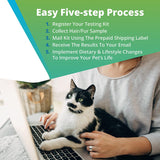 5Strands pet testing process