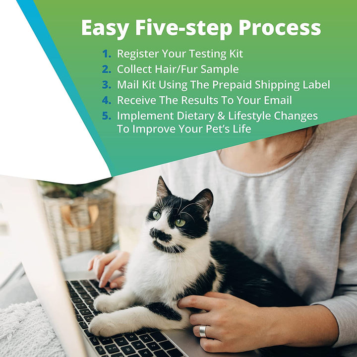 5Strands pet testing process