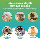 cat and cog intolerance symptoms