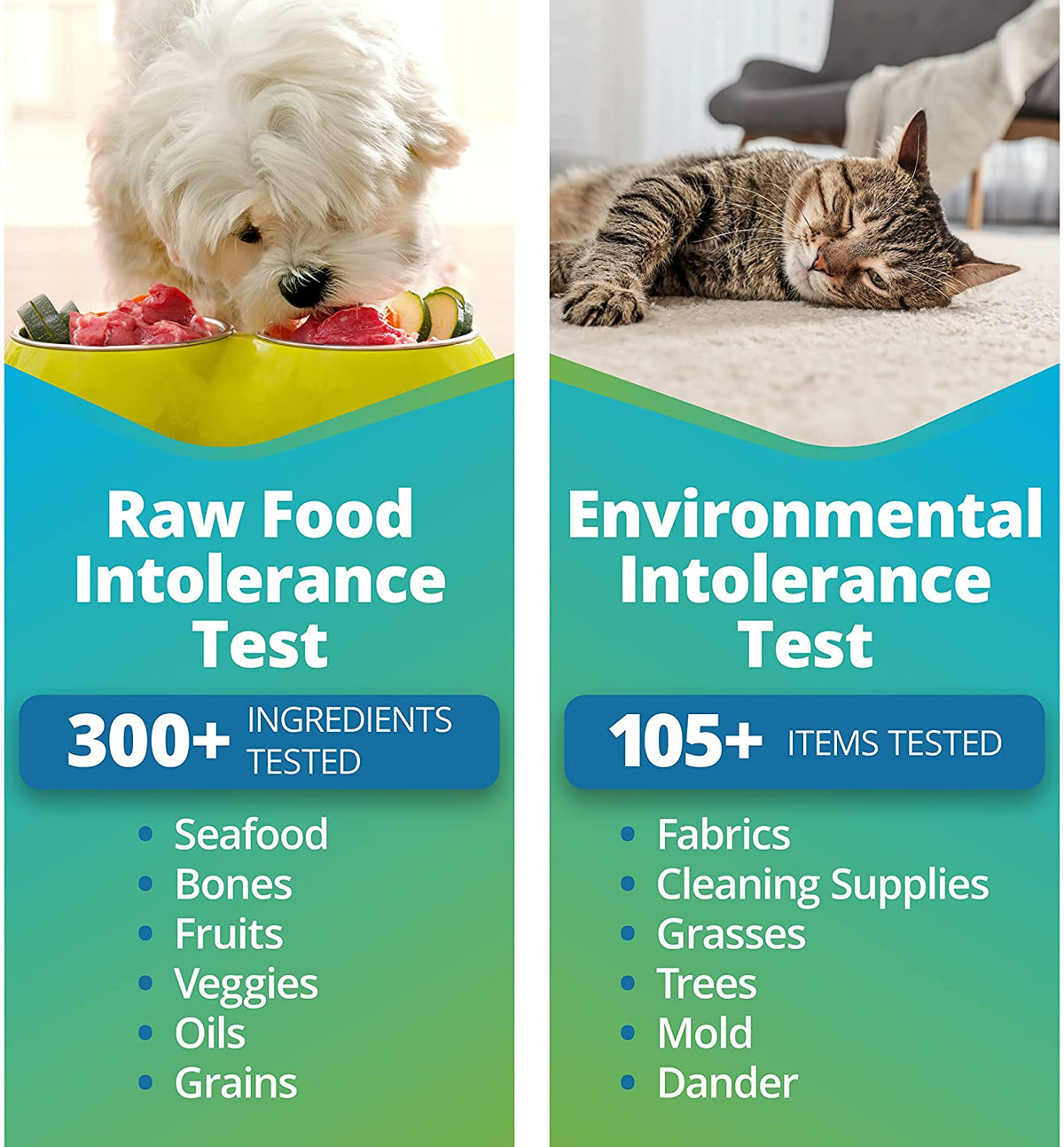 Pet Raw Food & Environmental Intolerance Test Wholesale