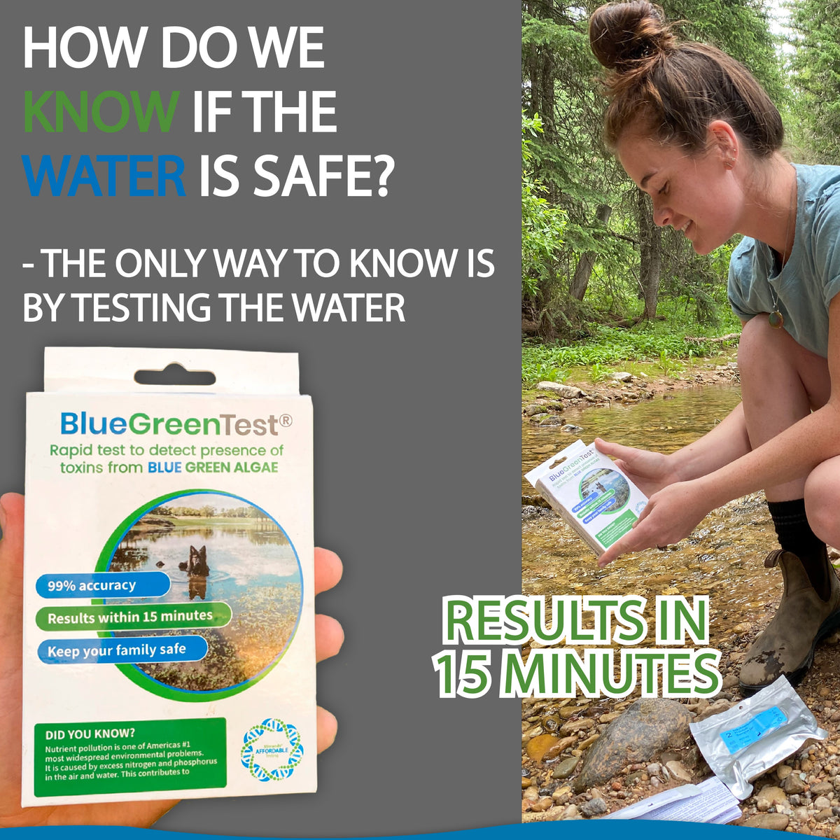 BlueGreen Algae Water Test Wholesale