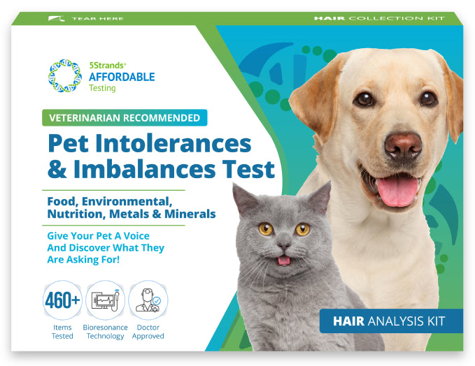 Pet Intolerances & Imbalances Test Wholesale
