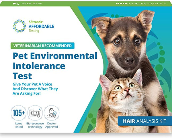 Pet Environmental Intolerance Test Wholesale
