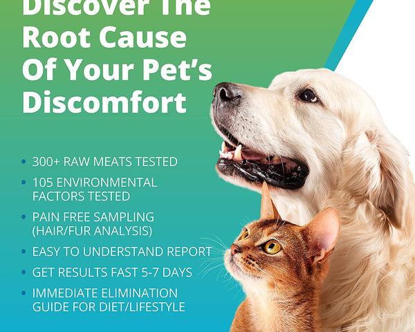 Pet Raw Food Intolerance Test Wholesale