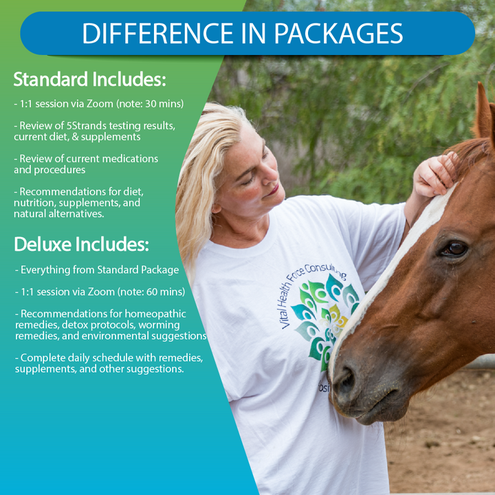 Kristina Star equine consultation packages